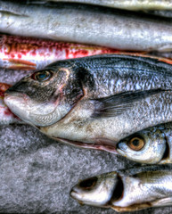  Malta fishing village of Marsaxlock, boats and fish