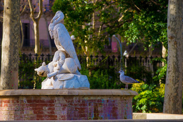 Bird in the Tourists destination Barcelona, Spain. Barcelona is known as an Artistic city located in the east coast of Spain..