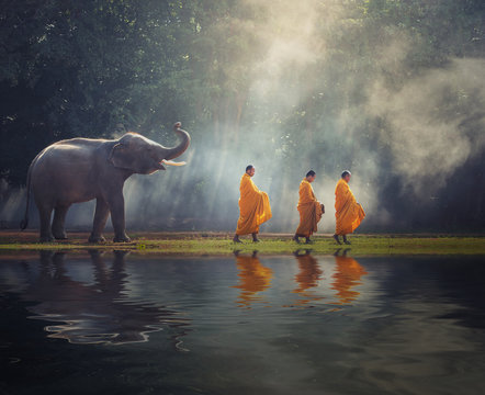 Thailand Buddhist Monks Walk Collecting Alms With Elephant Is Traditional Of Religion Buddhism On Faith Thai People