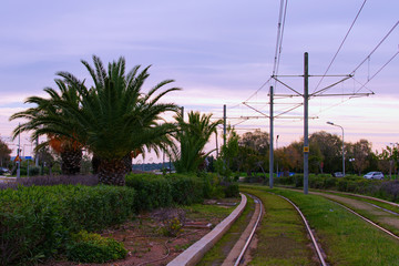 Picturesque landscape view of railroad in Glyfada. Scenic palm trees along the road. Glyfada is a suburb in South Athens located in the Athens Riviera
