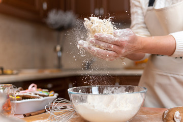 Women prepare cookies in the kitchen concept cooking
