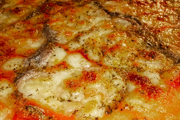  Close-up of a pizza with mozzarella and anchovies. Macro image