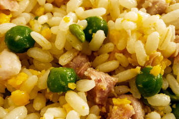 Oriental cantonese rice. Macro image 