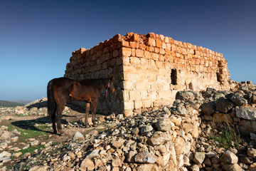 Horbat Zak ( Arabic : Khirbet a-Zak) is an archeological mound located north of Kibbutz Lahav.