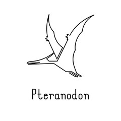 Simple line style icon of Pteranodon.  Vector illustration.  © dyeekc