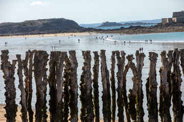 Big breakwater and beach in Saint Malo, 3000 trunks to defend the city from the tides, Ille-et-Vilaine, Brittany, France