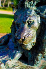 Fototapeta na wymiar Lion in the Tourists destination Barcelona, Spain. Barcelona is known as an Artistic city located in the east coast of Spain..
