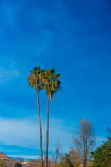 Tourists destination Barcelona, Spain. Barcelona is known as an Artistic city located in the east coast of Spain..