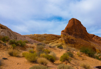 Felsformation im Valley of  Fire Nationalpark, Nevada USA