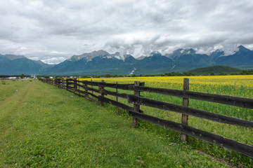 Fototapeta na wymiar mountain landscape with fence
