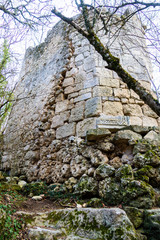 Fototapeta na wymiar old stone wall with flowers