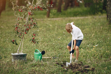 Child on a yard. Kid planting a tree. Boy with a green funnel