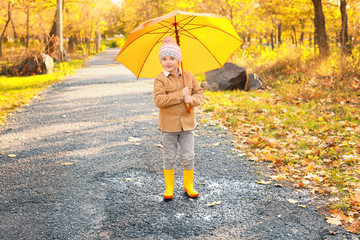 Cute little boy with umbrella in autumn park