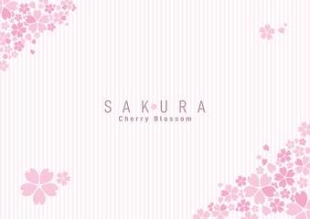 桜　背景イラスト　SAKURA background 01 © Bau Graphics