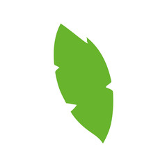 ecology leaf plant isolated icon