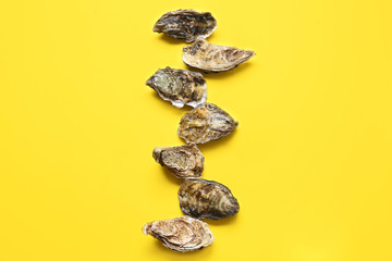 Tasty oysters on color background