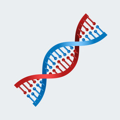 DNA graphic illustration with blue and red color.
