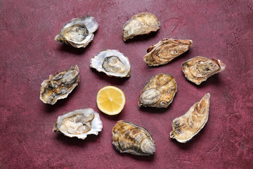 Tasty oysters with lemon on color background