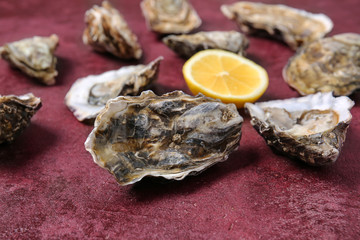 Tasty oysters with lemon on color background
