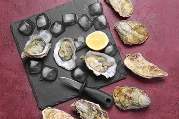 Composition with oysters on color background