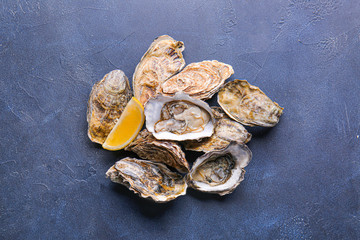 Tasty oysters on color background