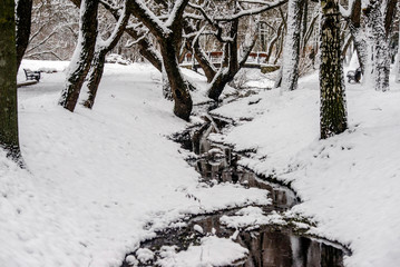 Landscape with views of the stream in the winter forest