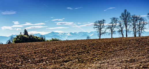 panorama of field, Pyrenees mountains on background