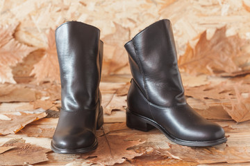 Genuine leather high boots, black color,  on autumn arranged background