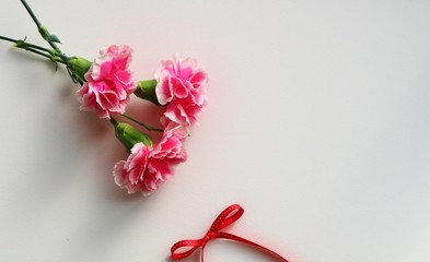 花　カーネーション　赤りぼん　屋内　