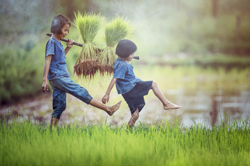 Asian children farmer on rice field.