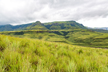 Fototapeta na wymiar The green mountains of Maloti Drakensberg Park with grasses in the foreground, South Africa