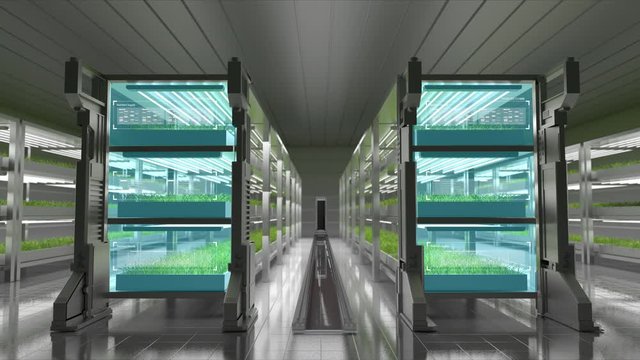Artificial Intelligence controlled automatic plant growth factory, AI robot cultivates a plant, Smart Agriculture Lab, 4k animation.