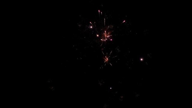 Fireworks exploding in the dark night sky during a celebration, shot in 4K resolution.