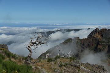 Madera Pico Ruivo © studioeurekatk