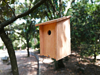 Casita para pájaros colgada de una rama en el bosque con el fondo desenfocado.