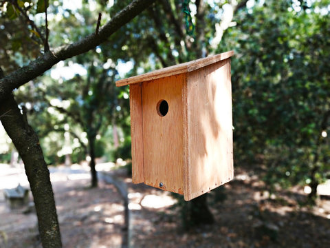 Casita para p&aacute;jaros colgada de una rama en el bosque con el fondo desenfocado.