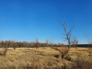 Landscape in the georgia, USA