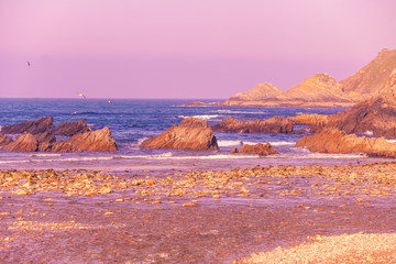 Rocky seashore before sunrise
