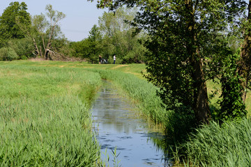ein Fließ im Spreewald
