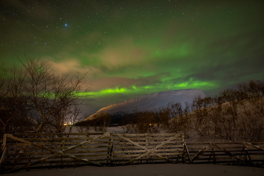 Grünes Polarlicht Aurora Borealis über Schneelandschaft mit Zaun