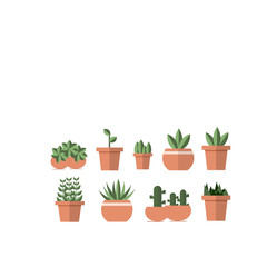 Plants in pots icons
