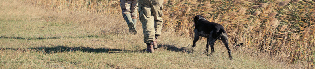 Silhouette of a hunter with a gun in the reeds against the sun, an ambush for ducks with dogs.