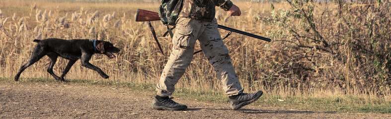 Silhouette of a hunter with a gun in the reeds against the sun, an ambush for ducks with dogs.