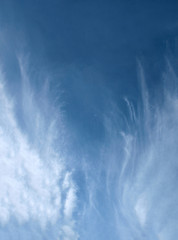  Angel's wings © Artur