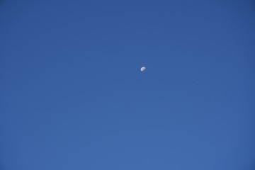 Moon in the blue sky
