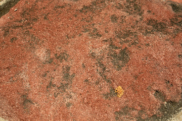 abstract background of wall of red stone