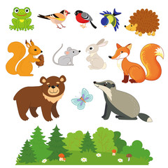 Set of forest animals. Frog, Jay, bullfinch, tit, hedgehog, squirrel, mouse, hare, Fox, badger, bear, butterfly. Vector illustration for kids.