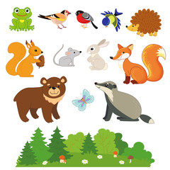 Naklejka premium Set of forest animals. Frog, Jay, bullfinch, tit, hedgehog, squirrel, mouse, hare, Fox, badger, bear, butterfly. Vector illustration for kids.