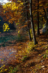 Herbstlandschaft in Italien