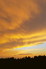 Beautiful landscape, golden sky at sunset